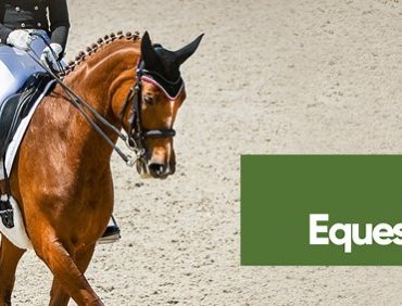 EquestriMalta National Championships